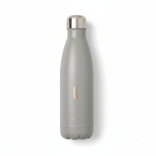 Bullfrog Stainless Steel Water Bottle in Grey